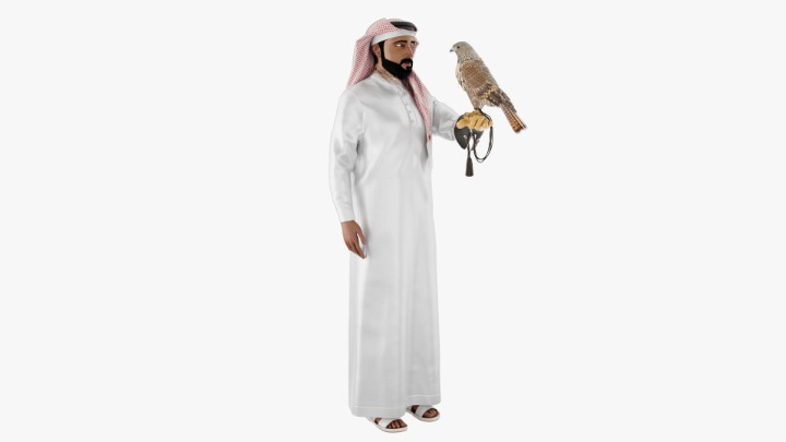 العناصر الخمسة
